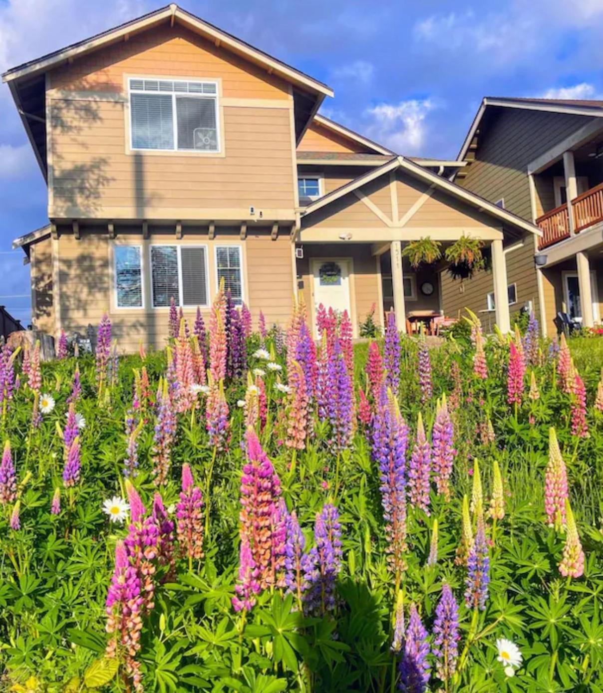 Central Tacoma Homestay With Breakfast Included -Private Room- Eksteriør billede